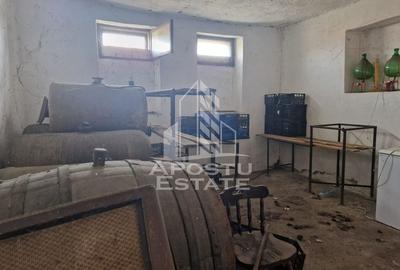 Casă cu 3 camere cu Canalizare în Dorobanți - 9