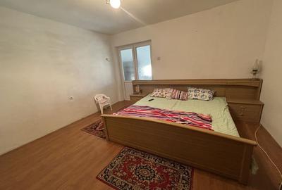 Casa cu 2 apartamente zona Mehala - 11