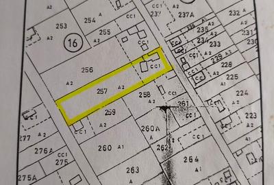Casă individuală cu 3 camere cu Teren 2512 Mp în Traian (Zănești) - 10