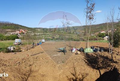 Teren de 1200 mp, în Iorga - 7