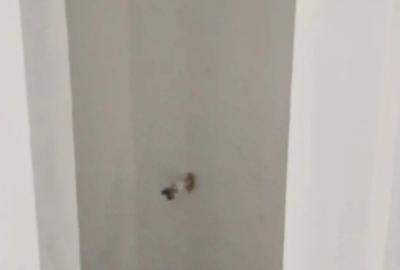 Vand apartament 3 camere, Scornice?ti, Jude?ul Olt - 2