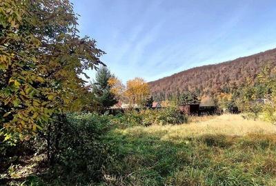 Teren de 660 mp, în Bunloc - 8