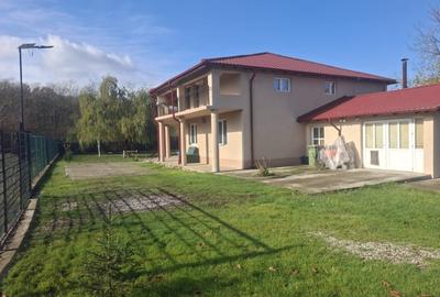 Inchiriez Vila 5 camere in Padurea Snagov, Silistea Snagovului / Pet Friendly - 9
