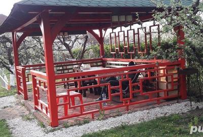 Casă cu 5 camere cu Teren 1124 Mp în Recaș - 3