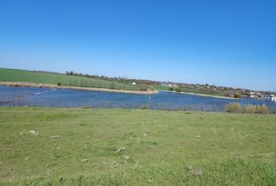 Teren agricol extravilan de 40000 mp, în Central - 9