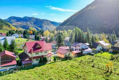 Casă de vacanță in Lepșa - VN, pretabila pentru investitie - 6