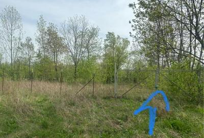 Spațiu comercial, în Brebu - 6