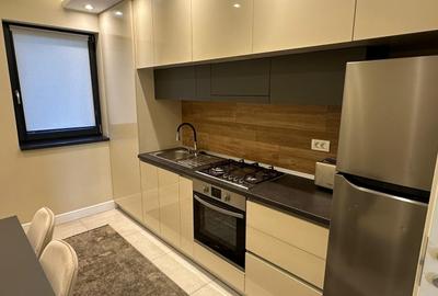 Apartament cu 2 camere decomandat, mobilat în Palazu Mare - 12