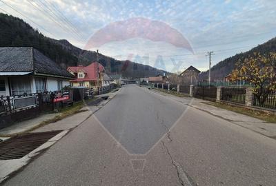 Casă individuală cu 5 camere cu Teren 1782 Mp în Cazaci - 5