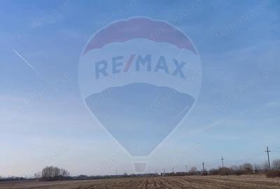 Teren intravilan - PUZ Lugoj / DN centura ocolitoare a Lugojului - 2