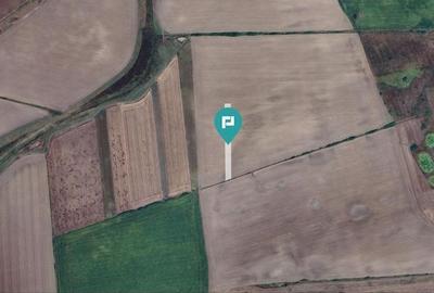 Teren agricol 3200 mp în Caporal Alexa - 4