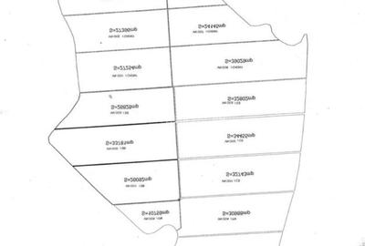 130 Ha comasat 100%, judetul Constanța - 4