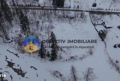 Teren de 2283 mp, în Tarcău - 4