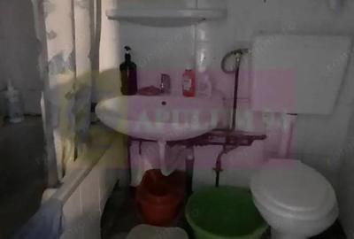 Apartament cu 3 camere decomandat în Valea Oltului - 9