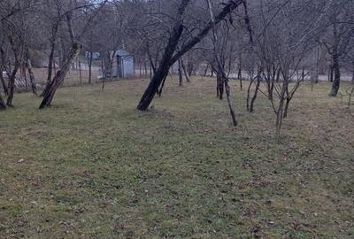 Teren de 2000 mp, în Ocina de Sus - 7