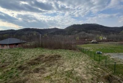 Casă cu 4 camere cu Teren 1900 Mp în Tăuții-Măgherăuș - 6