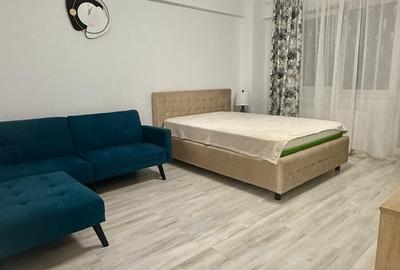 Garsonieră decomandată, mobilată în Podu Roș - 9