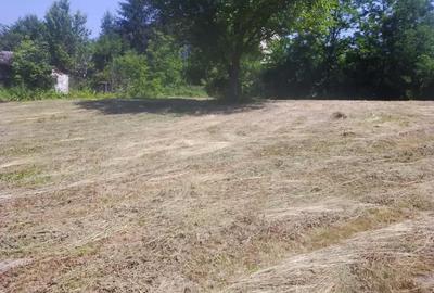 Teren de 4000 mp, în Copăceni - 9