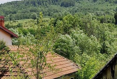 Teren de 2727 mp, în Mihăești - 4