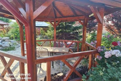 Casă cu 10 camere cu Canalizare în Teișori - 42