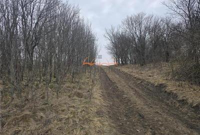 Teren Construcții intravilan de 500 mp, în Popești