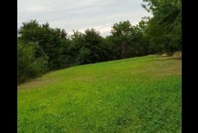 Poeni, Teleorman proprietar vând teren si casa renovabila - 1