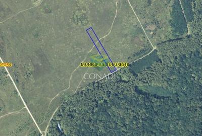 Teren de vanzare Padurea Baneasa 7.500 mp - 8