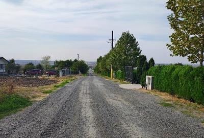 Intravilan agricol - 6