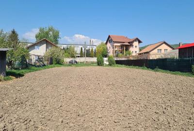 Spațiu comercial, în Troian - 5