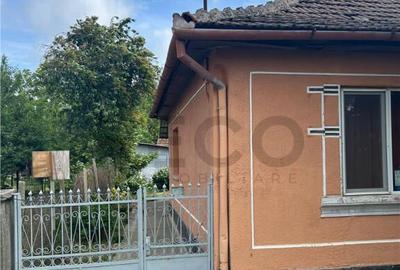 RECO casa batraneasca Sacueni - 11