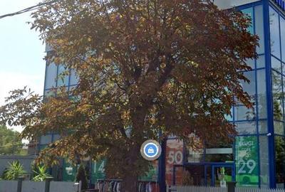 Spațiu comercial, de 822 mp, în Militari - 3