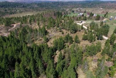 Teren intravilan 3,584mp Calatele Padure - 10