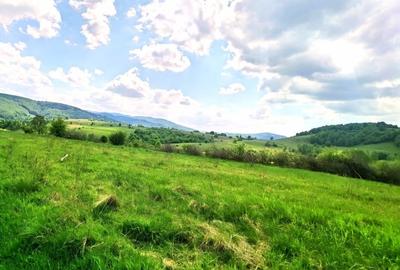 25.000 mp TEREN IDEAL AFACERE TURISM – AMENAJARE LAC DE PESCUIT, CIUCEA - CLUJ - 22