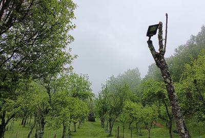 Teren superb, in mijlocul pădurii - 7