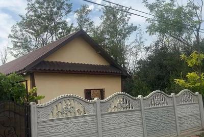 Casă cu Teren 1100 Mp în Roșioru - 8