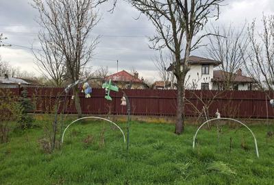 Casă cu 3 camere în Botoroaga - 4