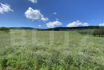 Teren intravilan in suparafat de 19213 mp, zona Valea Mitii - 1