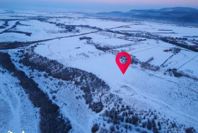 Teren de 5000 mp, în Pănicel - 1