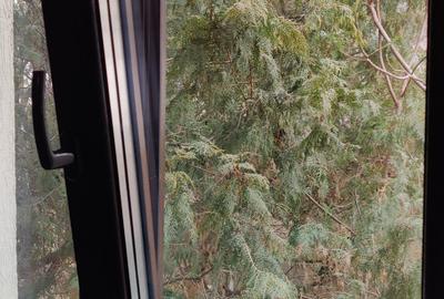 Casă individuală cu 4 camere cu Canalizare în Parcul Carol - 11