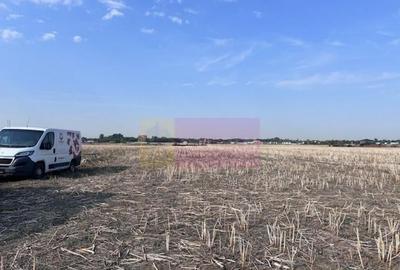 Teren de 500 mp, în Domnești