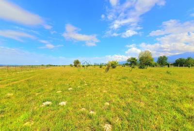 Teren Construcții intravilan de 1000 mp, în Exterior Est - 4