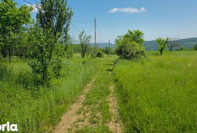 Teren de 6352 mp, în Păcureți - 2