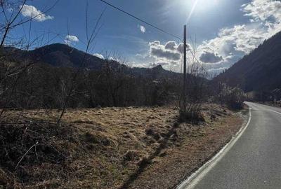 Teren de 1700 mp, în Brăzești - 4