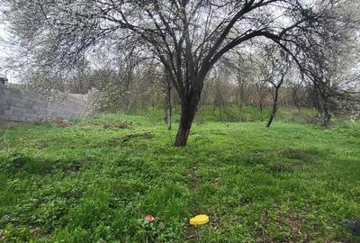 Casă cu 3 camere cu Teren 637 Mp în Central - 1