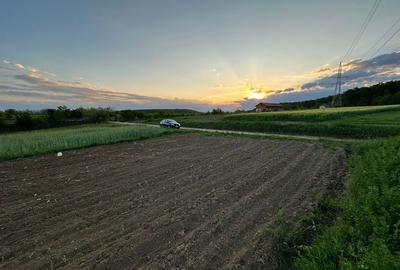 Spațiu comercial, în Dealu - 3
