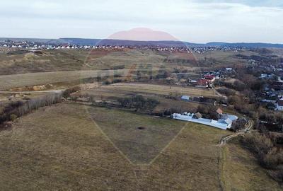 Teren 2925 mp comuna Mitocu Dragomirnei - 16