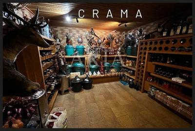 Vila grandioasa, Gradina Japoneza, SPA, Crama, Teren Tenis, Foisor, Iaz Pesti - 8