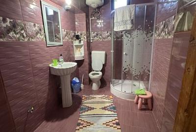 Casă cu 4 camere cu Teren 295 Mp în Pișchia - 6