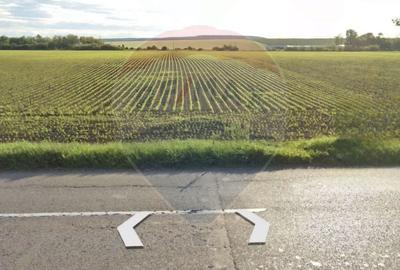 Teren 13.773mp de vanzare, Bogdan Voda / E85 - 1