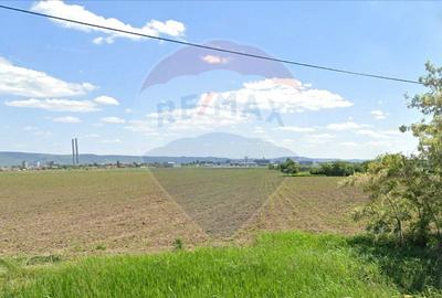 Teren Construcții intravilan de 11485 mp, în Nicolae Bălcescu - 1